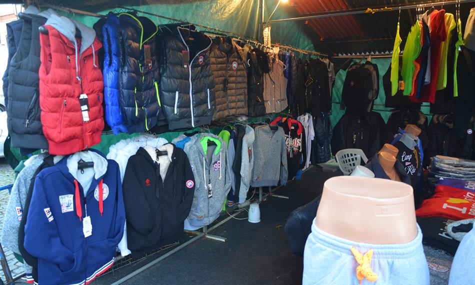 2014-11-20-137Canadian Goose 5.JPG